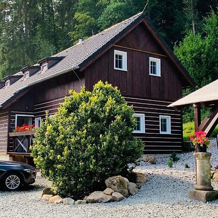 Apartmany Jetrichovice - Ceske Svycarsko Ngoại thất bức ảnh