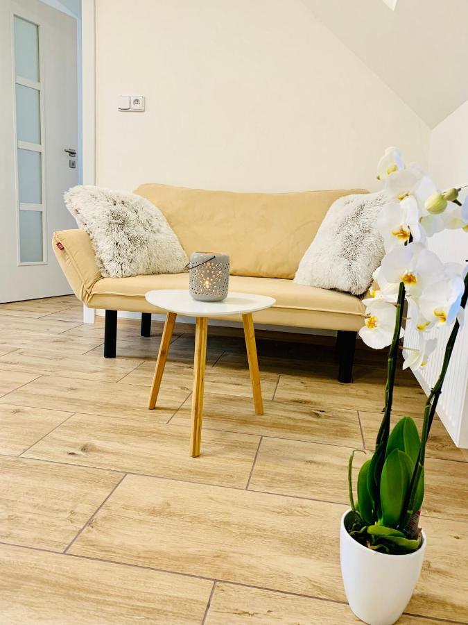 Apartmany Jetrichovice - Ceske Svycarsko Ngoại thất bức ảnh