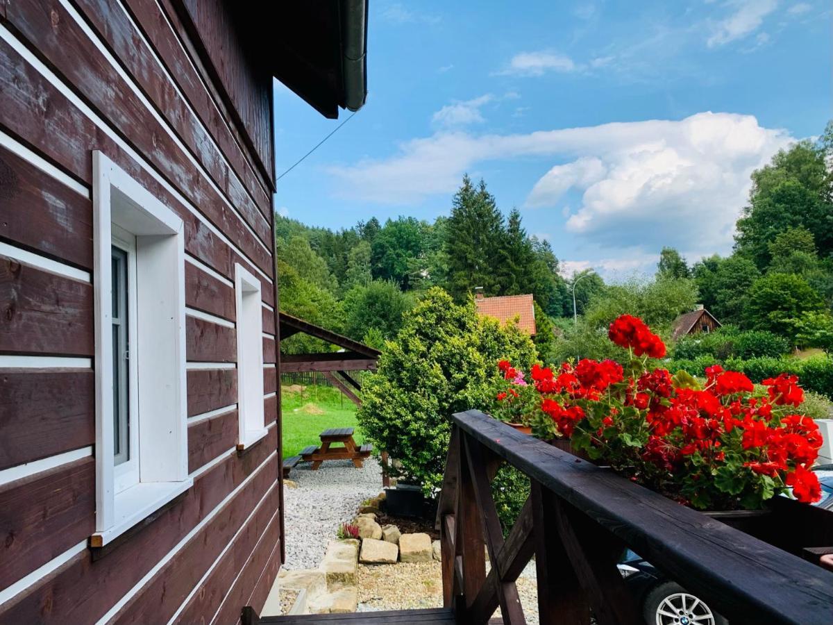Apartmany Jetrichovice - Ceske Svycarsko Ngoại thất bức ảnh