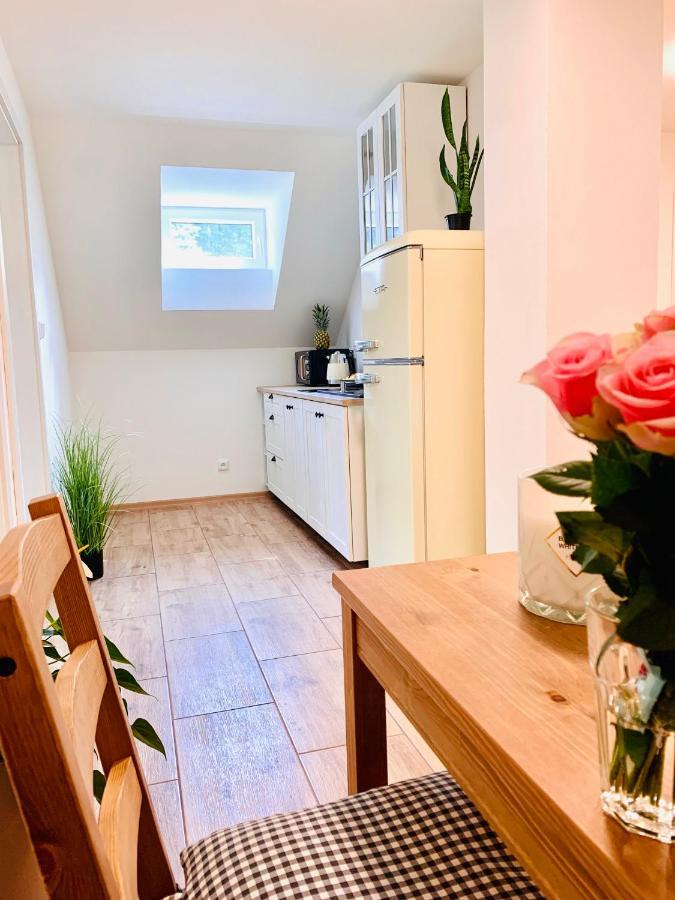 Apartmany Jetrichovice - Ceske Svycarsko Ngoại thất bức ảnh